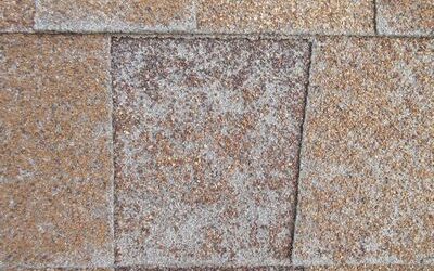 Granule Loss