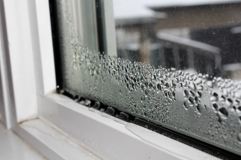 tn_moisture inside on window