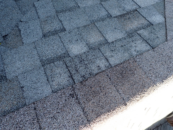 expensive cost of shingles